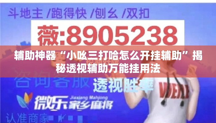 辅助神器“小吆三打哈怎么开挂辅助”揭秘透视辅助万能挂用法