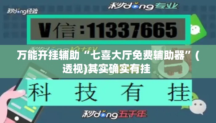 万能开挂辅助“七喜大厅免费辅助器”(透视)其实确实有挂 
