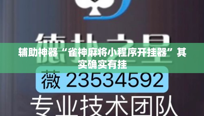 辅助神器“雀神麻将小程序开挂器”其实确实有挂