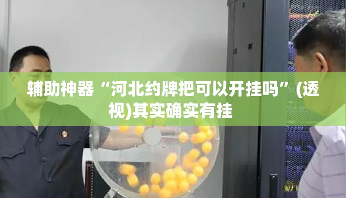 辅助神器“河北约牌把可以开挂吗”(透视)其实确实有挂 