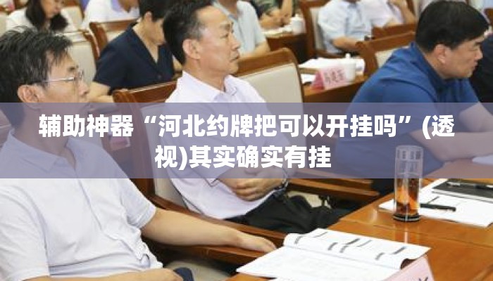 辅助神器“河北约牌把可以开挂吗”(透视)其实确实有挂 
