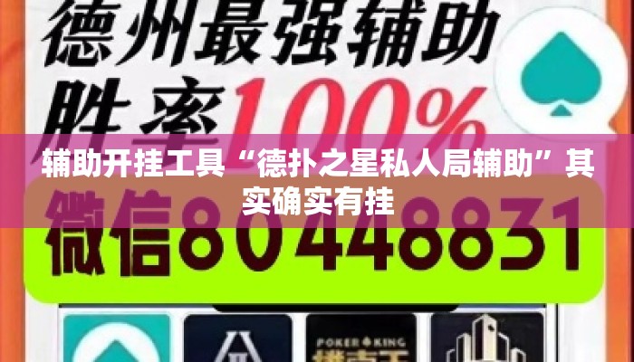 辅助开挂工具“德扑之星私人局辅助	”其实确实有挂