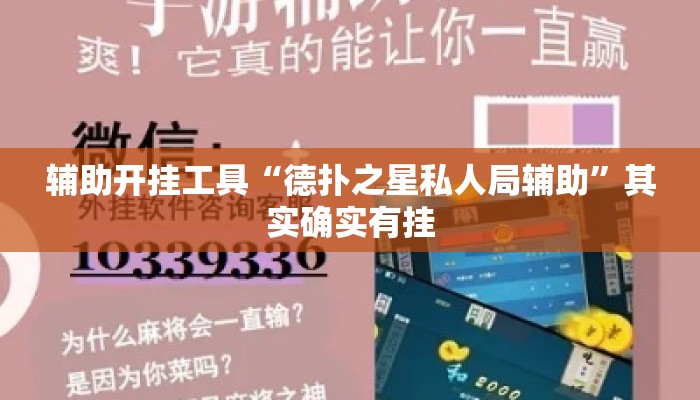 辅助开挂工具“德扑之星私人局辅助	”其实确实有挂