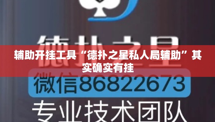 辅助开挂工具“德扑之星私人局辅助	”其实确实有挂