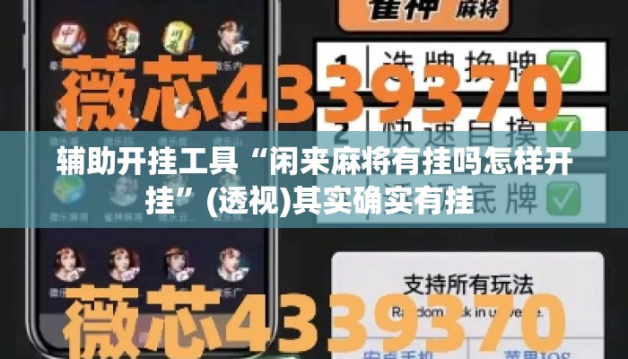 辅助开挂工具“闲来麻将有挂吗怎样开挂”(透视)其实确实有挂 