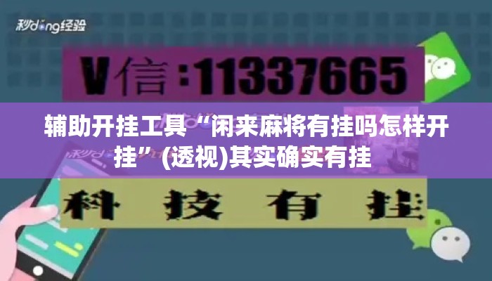 辅助开挂工具“闲来麻将有挂吗怎样开挂”(透视)其实确实有挂 