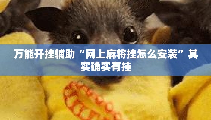 万能开挂辅助“网上麻将挂怎么安装”其实确实有挂