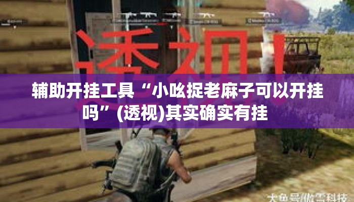 辅助开挂工具“小吆捉老麻子可以开挂吗”(透视)其实确实有挂 