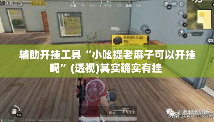 辅助开挂工具“小吆捉老麻子可以开挂吗”(透视)其实确实有挂 