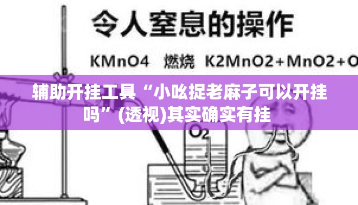辅助开挂工具“小吆捉老麻子可以开挂吗	”(透视)其实确实有挂 