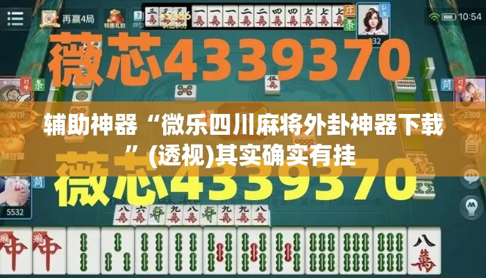 辅助神器“微乐四川麻将外卦神器下载	”(透视)其实确实有挂 