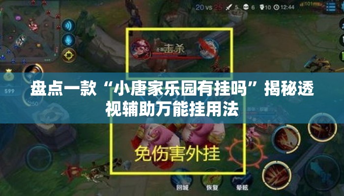 盘点一款“小唐家乐园有挂吗	”揭秘透视辅助万能挂用法