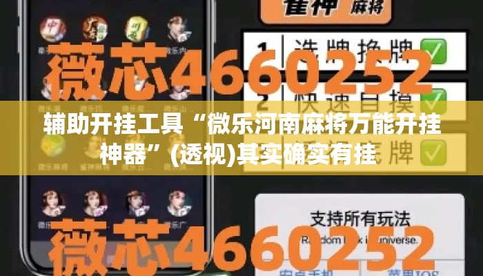 辅助开挂工具“微乐河南麻将万能开挂神器”(透视)其实确实有挂 