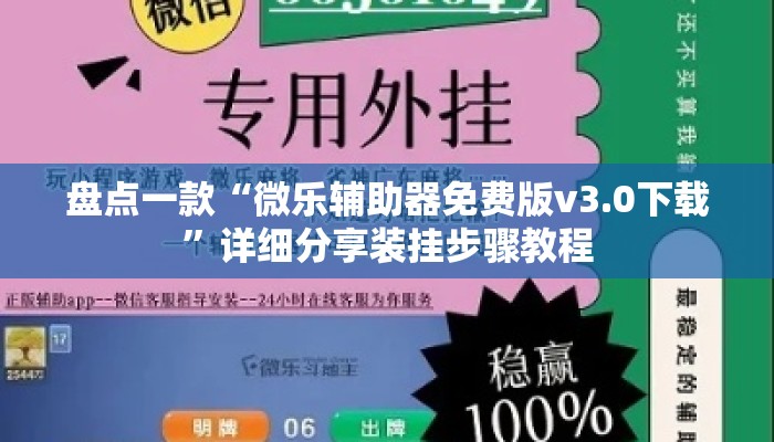盘点一款“微乐辅助器免费版v3.0下载	”详细分享装挂步骤教程