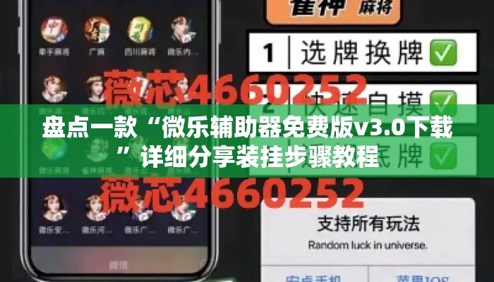 盘点一款“微乐辅助器免费版v3.0下载”详细分享装挂步骤教程