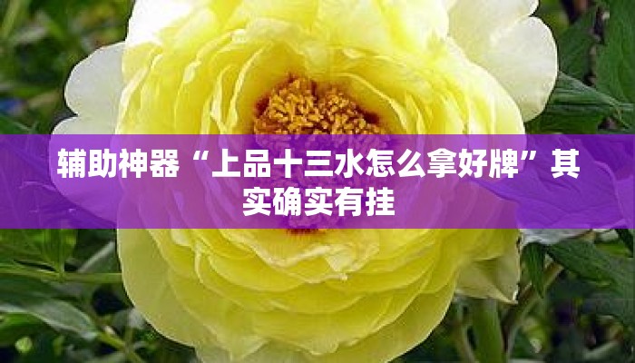 辅助神器“上品十三水怎么拿好牌”其实确实有挂