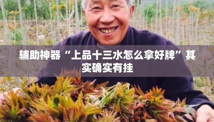 辅助神器“上品十三水怎么拿好牌”其实确实有挂