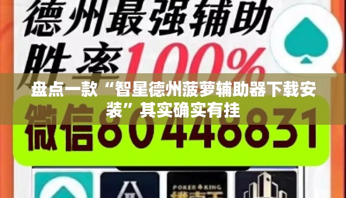 盘点一款“智星德州菠萝辅助器下载安装”其实确实有挂