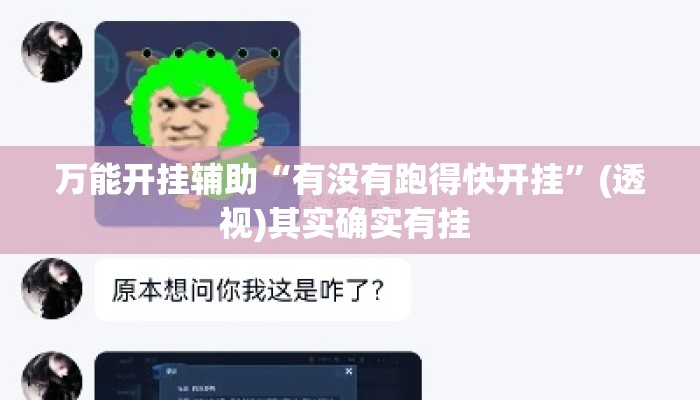 万能开挂辅助“有没有跑得快开挂”(透视)其实确实有挂 