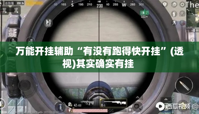 万能开挂辅助“有没有跑得快开挂	”(透视)其实确实有挂 