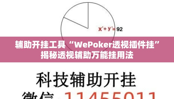 辅助开挂工具“WePoker透视插件挂	”揭秘透视辅助万能挂用法