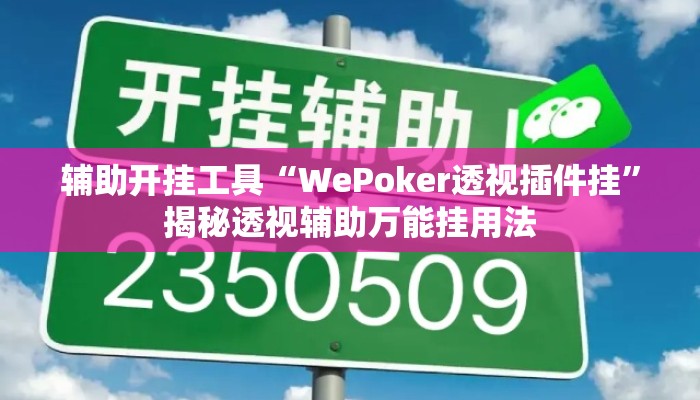 辅助开挂工具“WePoker透视插件挂”揭秘透视辅助万能挂用法