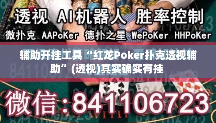 辅助开挂工具“红龙Poker扑克透视辅助	”(透视)其实确实有挂 