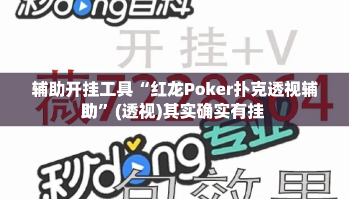辅助开挂工具“红龙Poker扑克透视辅助”(透视)其实确实有挂 