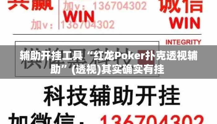 辅助开挂工具“红龙Poker扑克透视辅助”(透视)其实确实有挂 