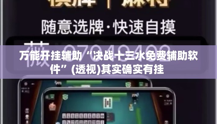万能开挂辅助“决战十三水免费辅助软件”(透视)其实确实有挂 