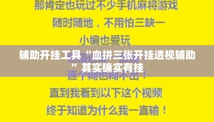 辅助开挂工具“血拼三张开挂透视辅助”其实确实有挂