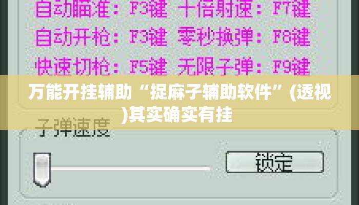 万能开挂辅助“捉麻子辅助软件”(透视)其实确实有挂 
