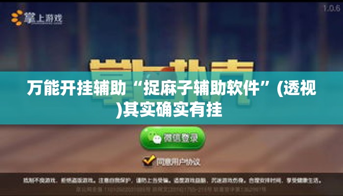 万能开挂辅助“捉麻子辅助软件”(透视)其实确实有挂 