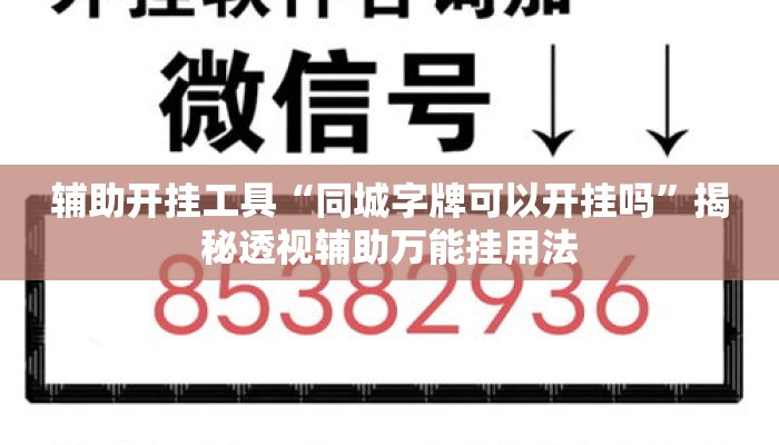 辅助开挂工具“同城字牌可以开挂吗”揭秘透视辅助万能挂用法