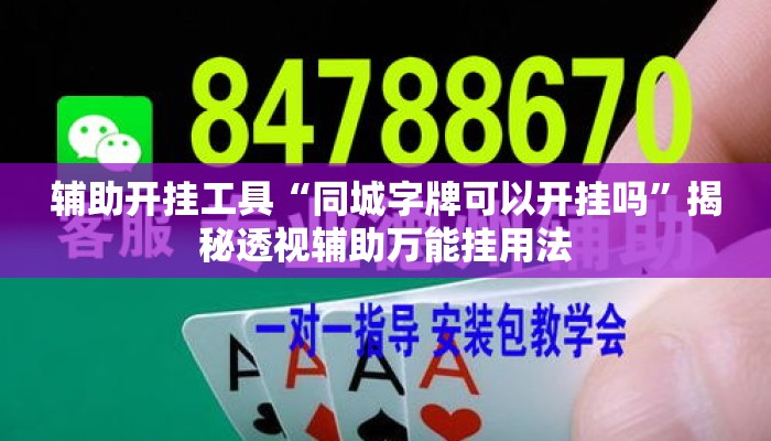 辅助开挂工具“同城字牌可以开挂吗”揭秘透视辅助万能挂用法