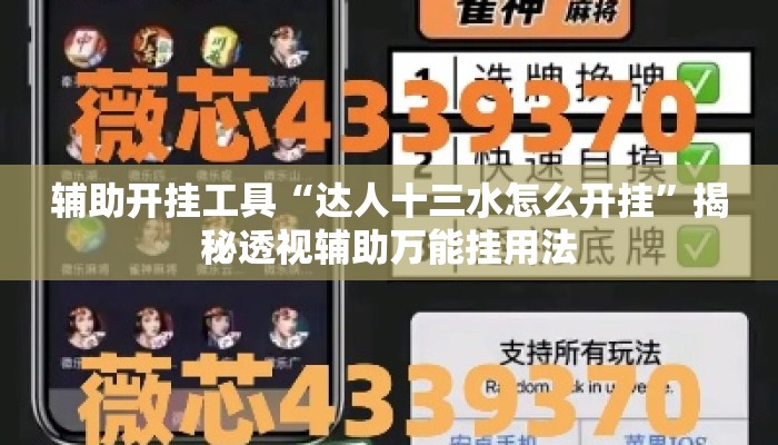 辅助开挂工具“达人十三水怎么开挂”揭秘透视辅助万能挂用法