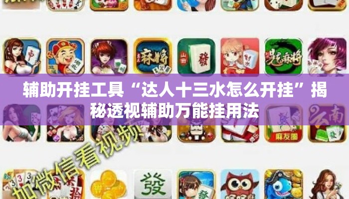 辅助开挂工具“达人十三水怎么开挂	”揭秘透视辅助万能挂用法