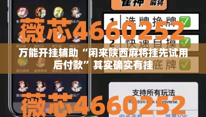 万能开挂辅助“闲来陕西麻将挂先试用后付款”其实确实有挂
