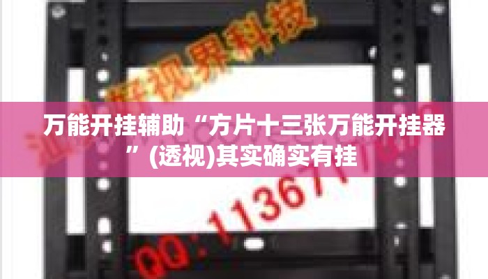 万能开挂辅助“方片十三张万能开挂器”(透视)其实确实有挂 
