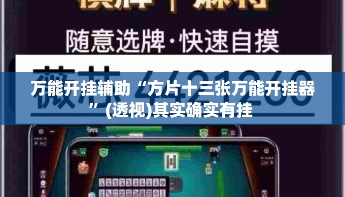 万能开挂辅助“方片十三张万能开挂器	”(透视)其实确实有挂 