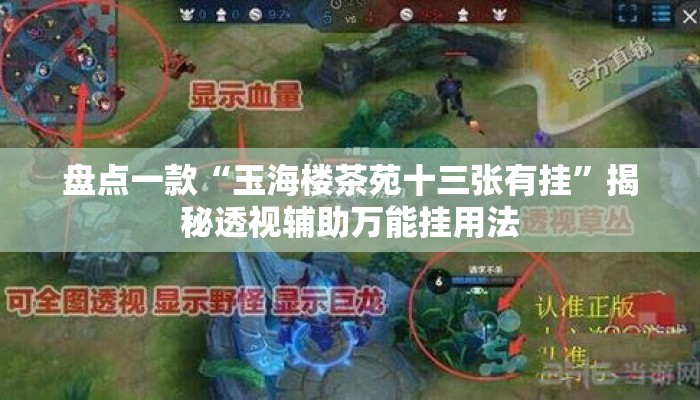 盘点一款“玉海楼茶苑十三张有挂	”揭秘透视辅助万能挂用法