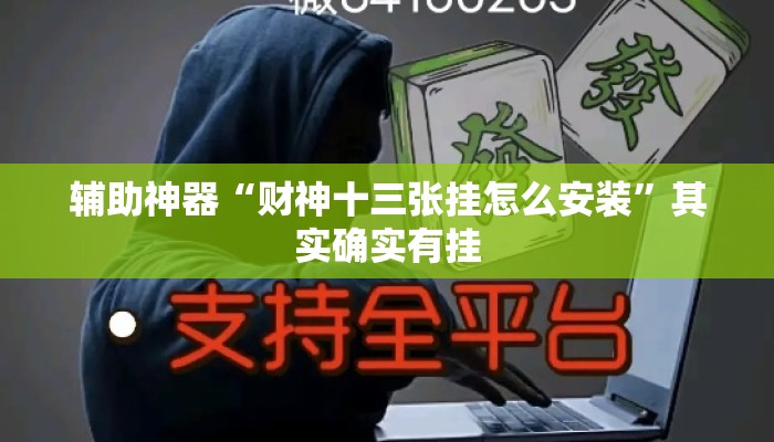 辅助神器“财神十三张挂怎么安装”其实确实有挂