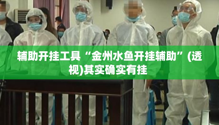 辅助开挂工具“金州水鱼开挂辅助”(透视)其实确实有挂 