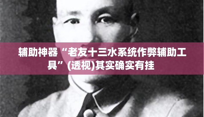 辅助神器“老友十三水系统作弊辅助工具	”(透视)其实确实有挂 
