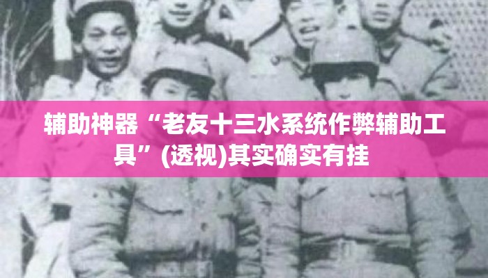 辅助神器“老友十三水系统作弊辅助工具”(透视)其实确实有挂 