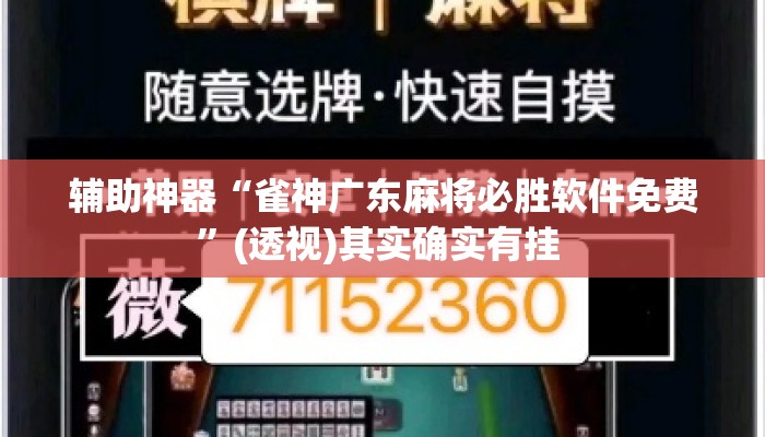 辅助神器“雀神广东麻将必胜软件免费	”(透视)其实确实有挂 