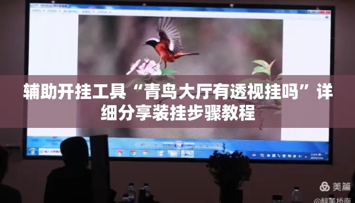 辅助开挂工具“青鸟大厅有透视挂吗”详细分享装挂步骤教程