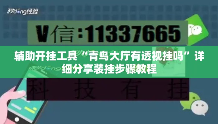 辅助开挂工具“青鸟大厅有透视挂吗	”详细分享装挂步骤教程