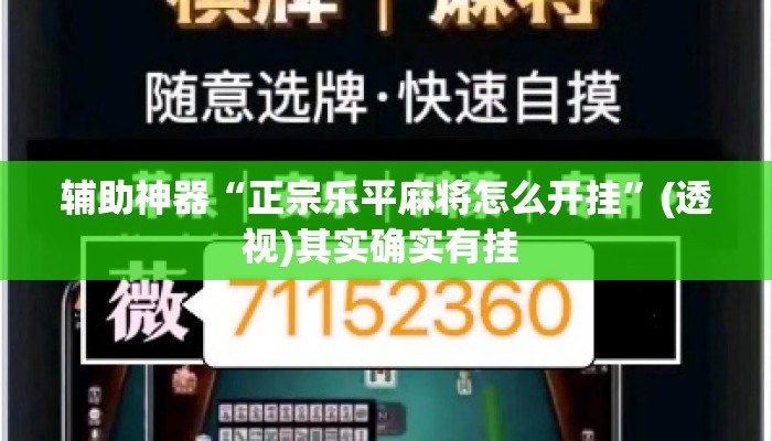 辅助神器“正宗乐平麻将怎么开挂	”(透视)其实确实有挂 