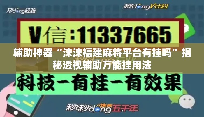 辅助神器“沫沫福建麻将平台有挂吗	”揭秘透视辅助万能挂用法